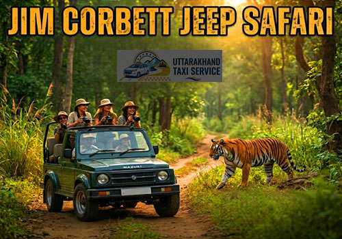 Jim Corbett Jeep Safari